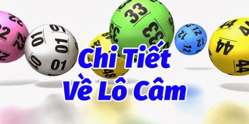 Lô Câm | Khái Niệm & Những Cách Chinh Phục Hiệu Quả 2025 2 Khái niệm lô câm trong chuyên mục đánh đề mỗi ngày