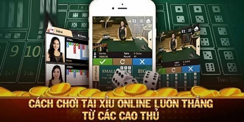 Tài Xỉu 78Win - Không Gian Giải Trí Hàng Đầu Trong Năm 2025 4 Với các kinh nghiệm này sẽ giúp anh em chơi tài xỉu tại nhà cái 78Win hiệu quả hơn